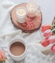 プレスリリース